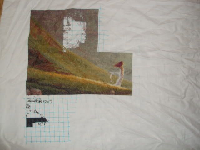 DSC00894.jpg