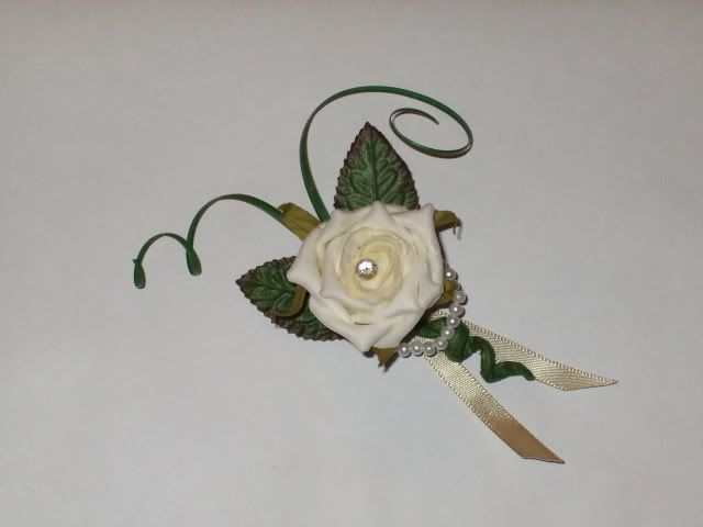 March2009011.jpg
