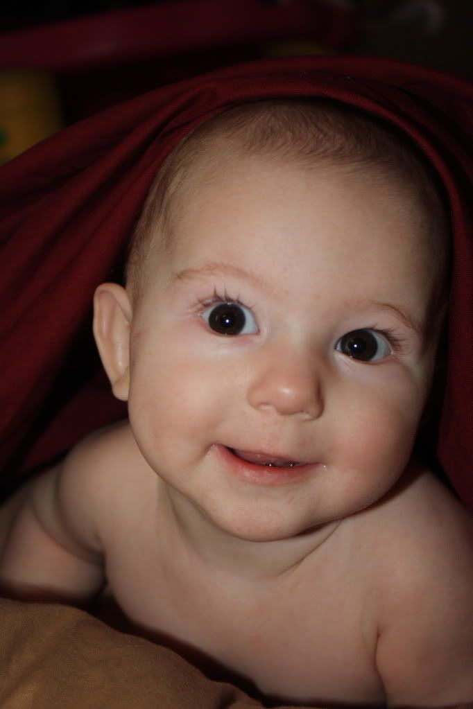 1/19/2010 blanket