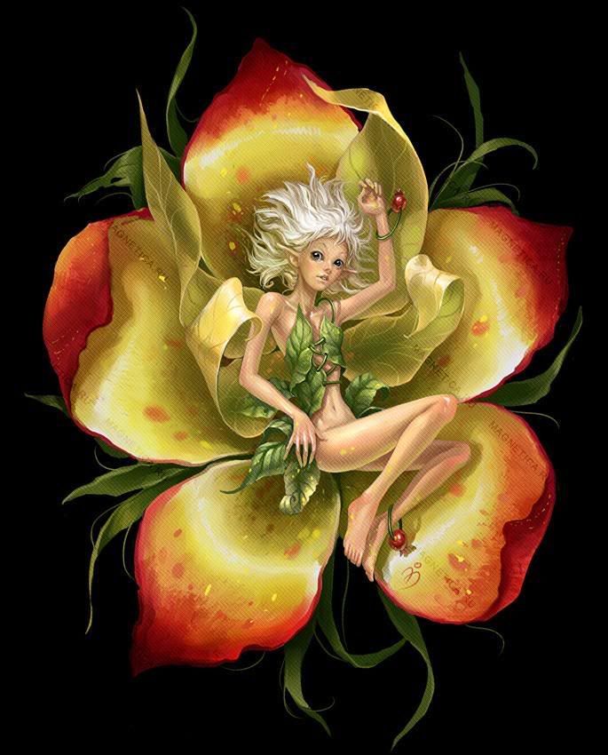 Sexy Flowers and their Faeries