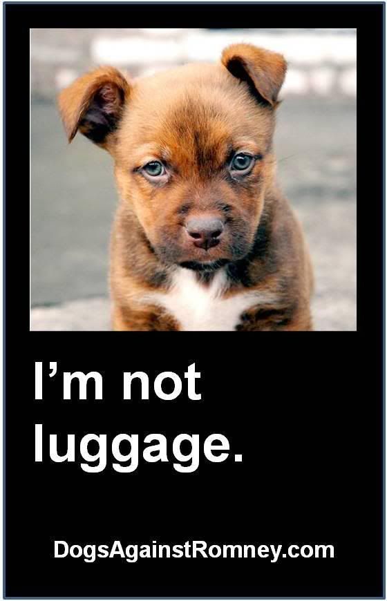 Imnotluggage.jpg