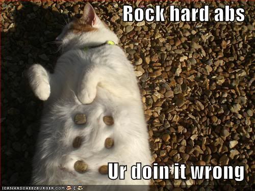 funny-pictures-your-cat-has-rock-hard-abs.jpg