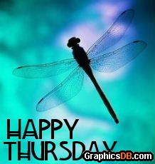 happy Thursday photo: HAPPY THURSDAY happy_thursday_firefly.jpg