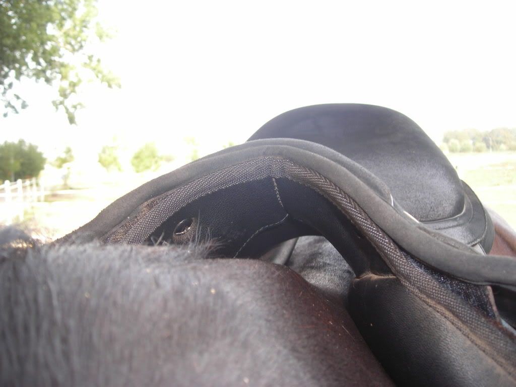DSCN7027.jpg