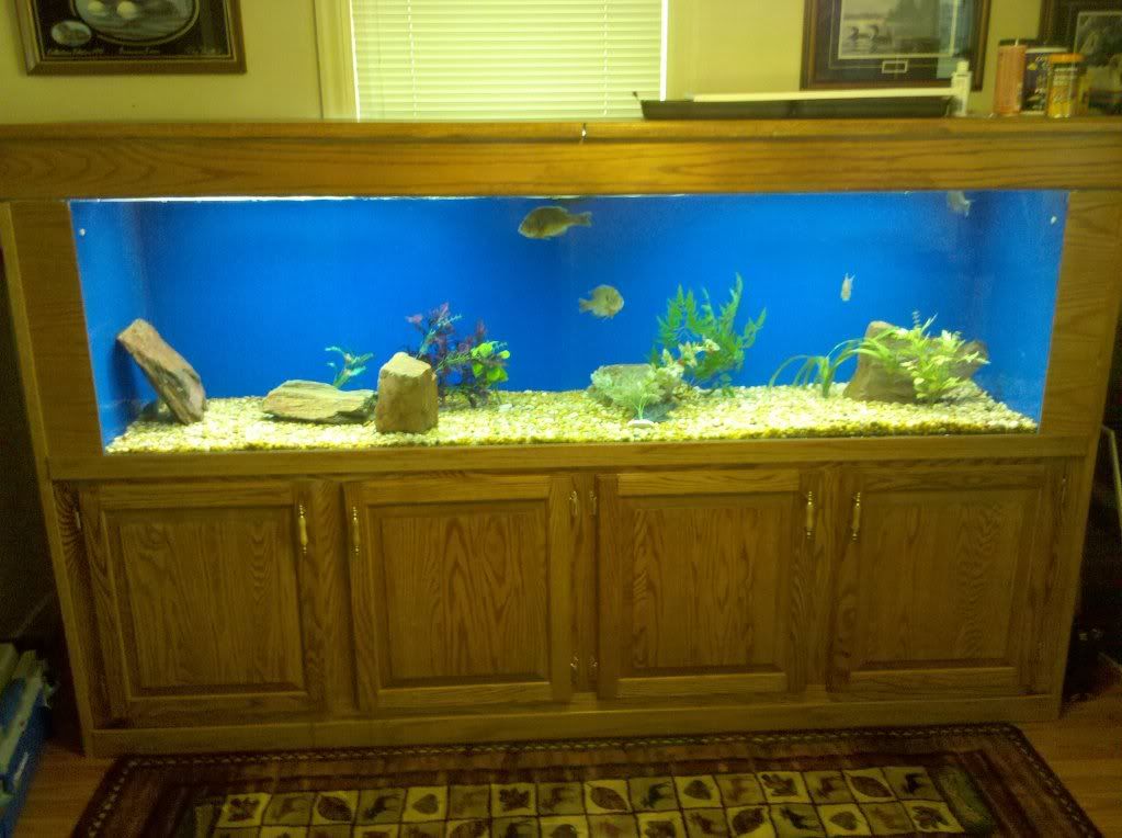 220 Gallon Acrylic Aquarium w/Oak Canopy and Stand