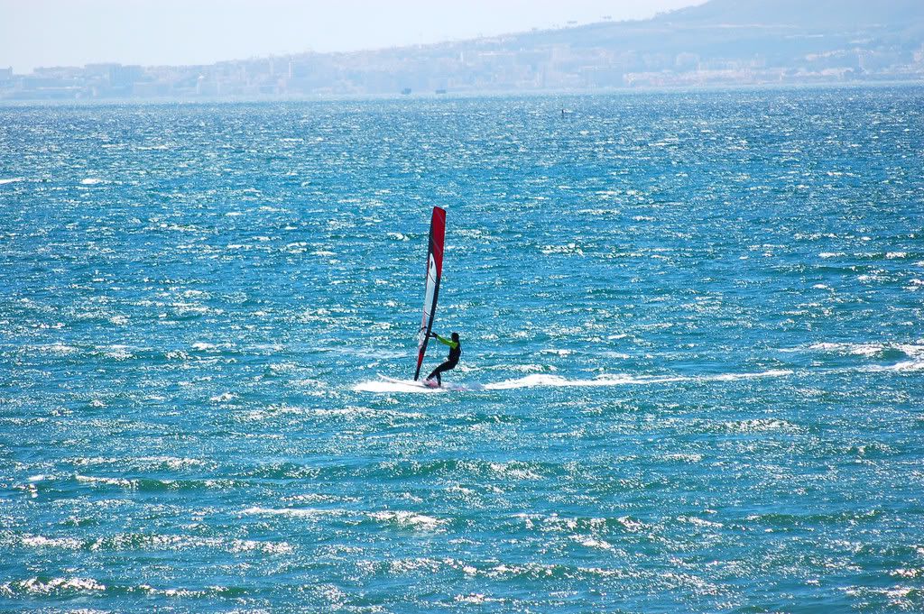 DSC_0434.jpg