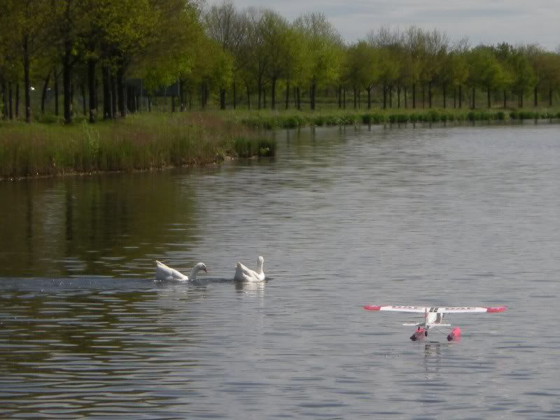 20120430_122926.jpg