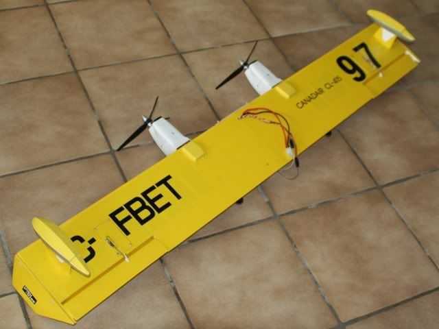 Canadair_tuin_20080113_01.jpg