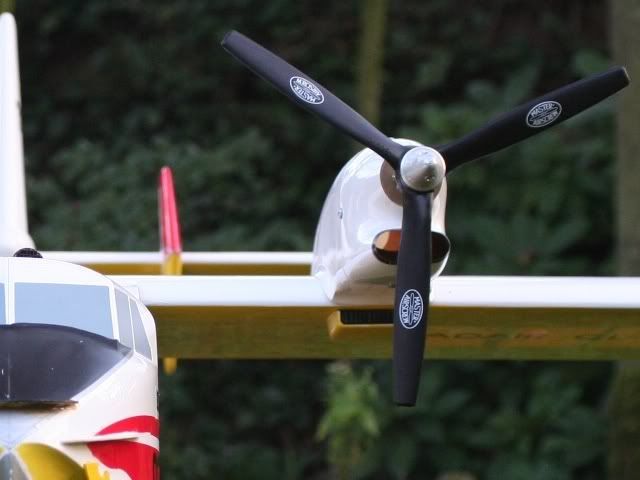 Canadair_tuin_20080113_13.jpg