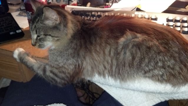 2012-10-12_18-39-04_115.jpg