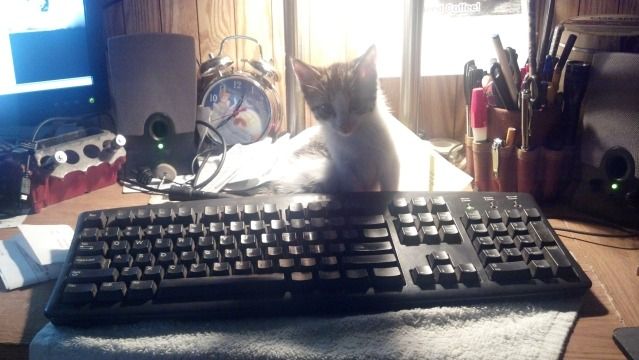 2012-10-15_15-10-11_203.jpg