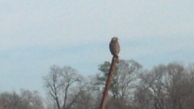 2013-01-24_14-36-05_938.jpg