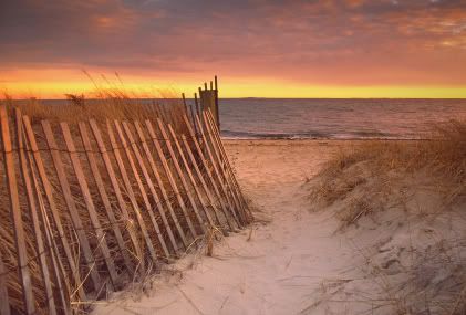capecod.jpg cape cod image by plumtickled28