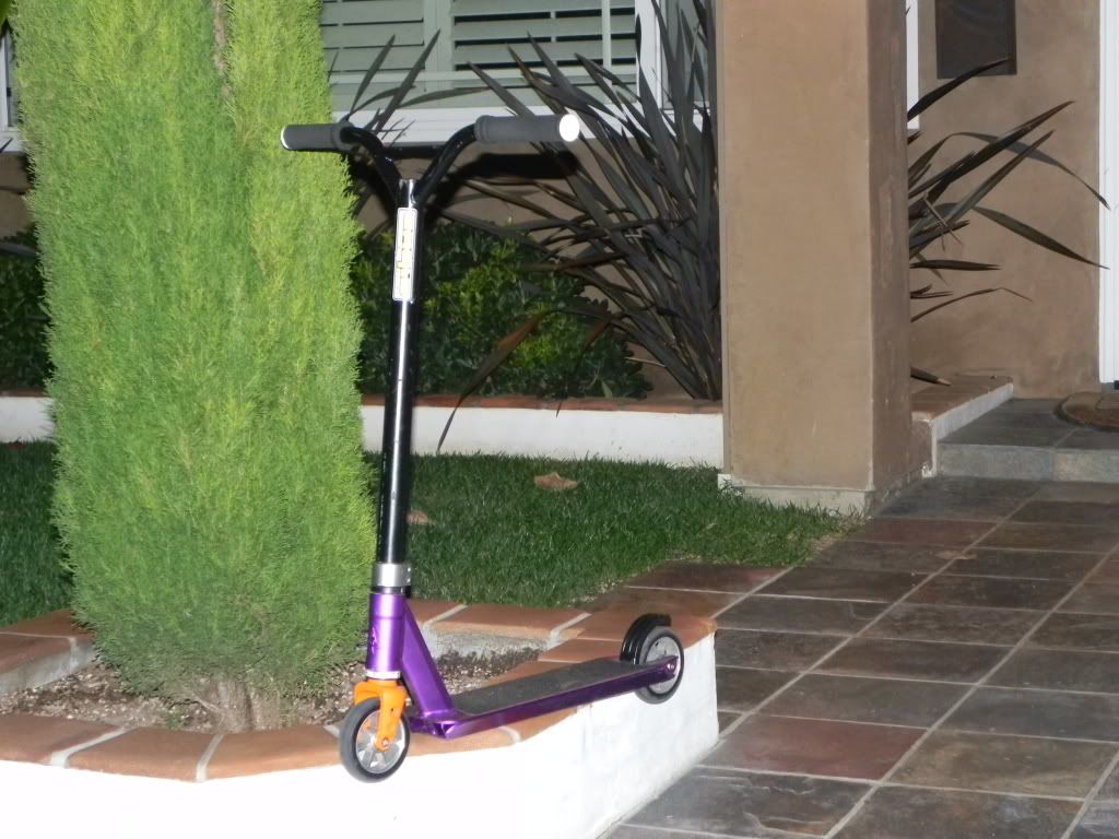 scootin030.jpg