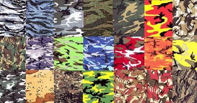 CamoChart-human.jpg