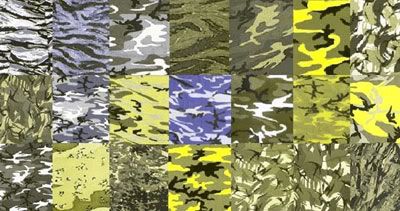 CamoChartCB-canine.jpg