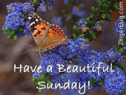 BeautifulSunday.jpg Have A Beautiful Sunday image by PaulaJane101