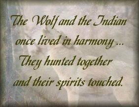 Wolf &amp; Indian Pictures, Images and Photos