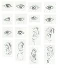 eyes and ears photo: Eyes Ears face_1_1.jpg