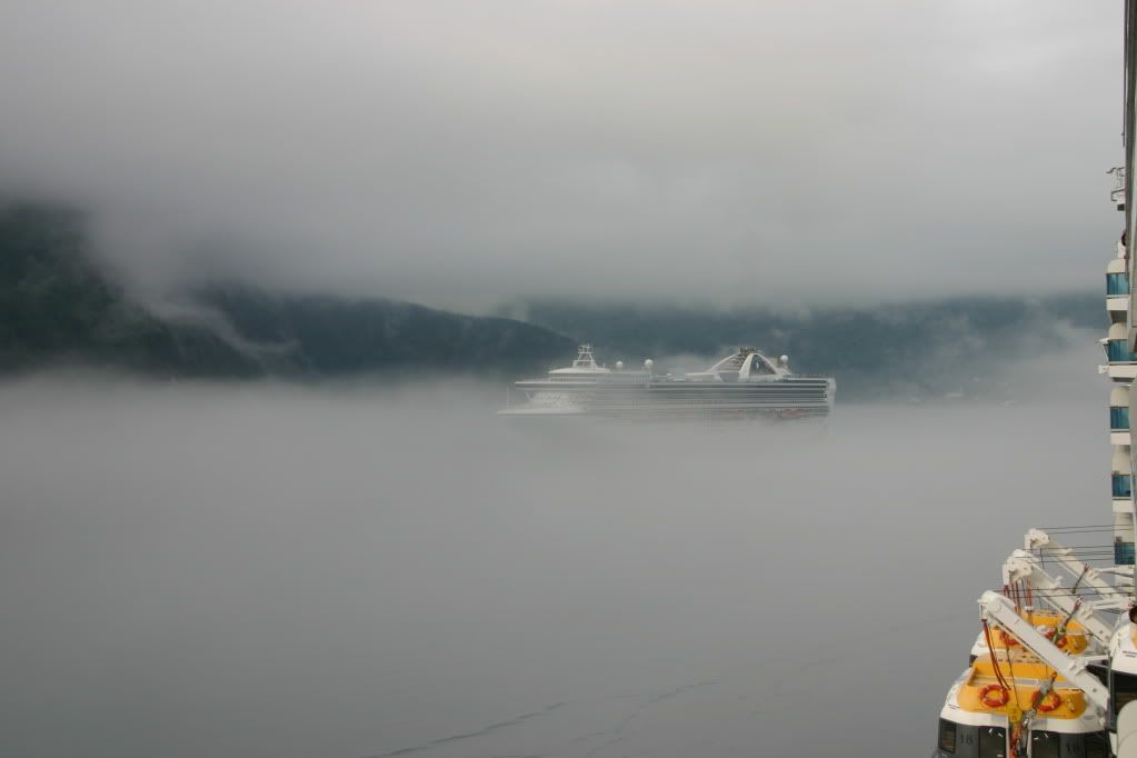 IMG_1218.jpg