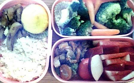 Bento #10: Ginger Chicken