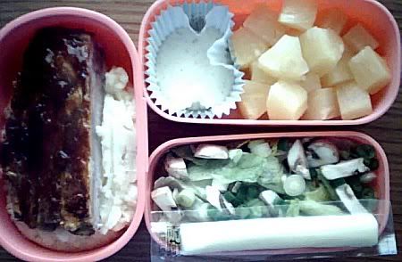 Bento #17: Meat &amp; Potatoes