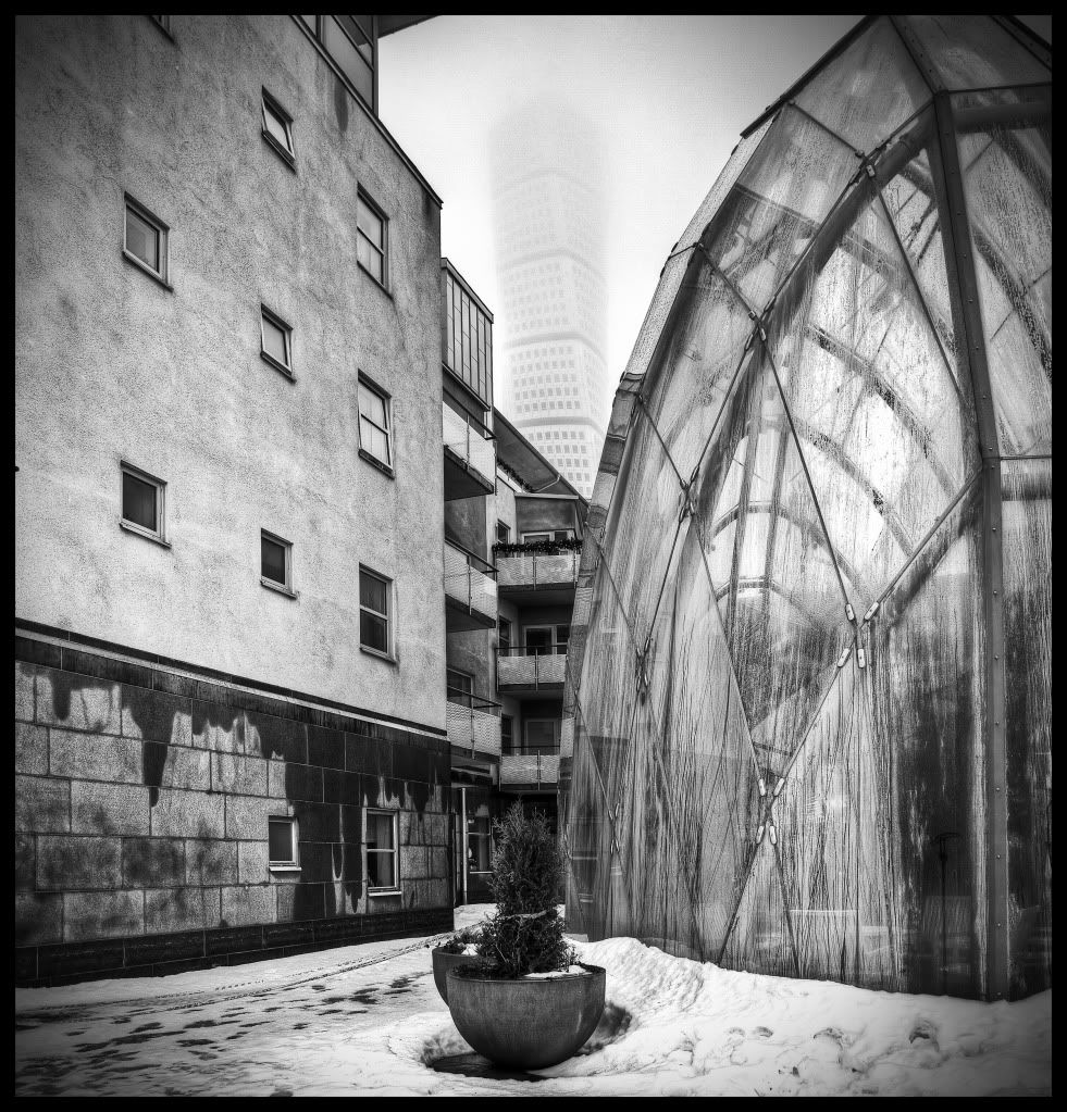 IMAGE: http://i244.photobucket.com/albums/gg20/Waldschnegel/9c0b9459.jpg