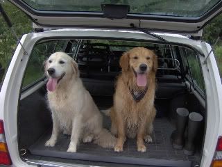 [Afbeelding: IM000632-1.jpg]