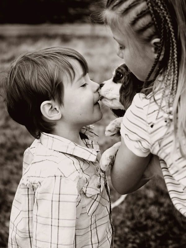 Puppies And Kittens Kissing. I love puppy kisses (and puppy