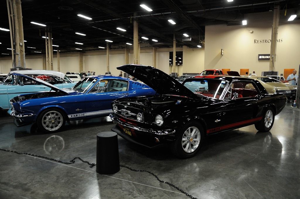 DSC_4975_zpsaq3lw9tt.jpg