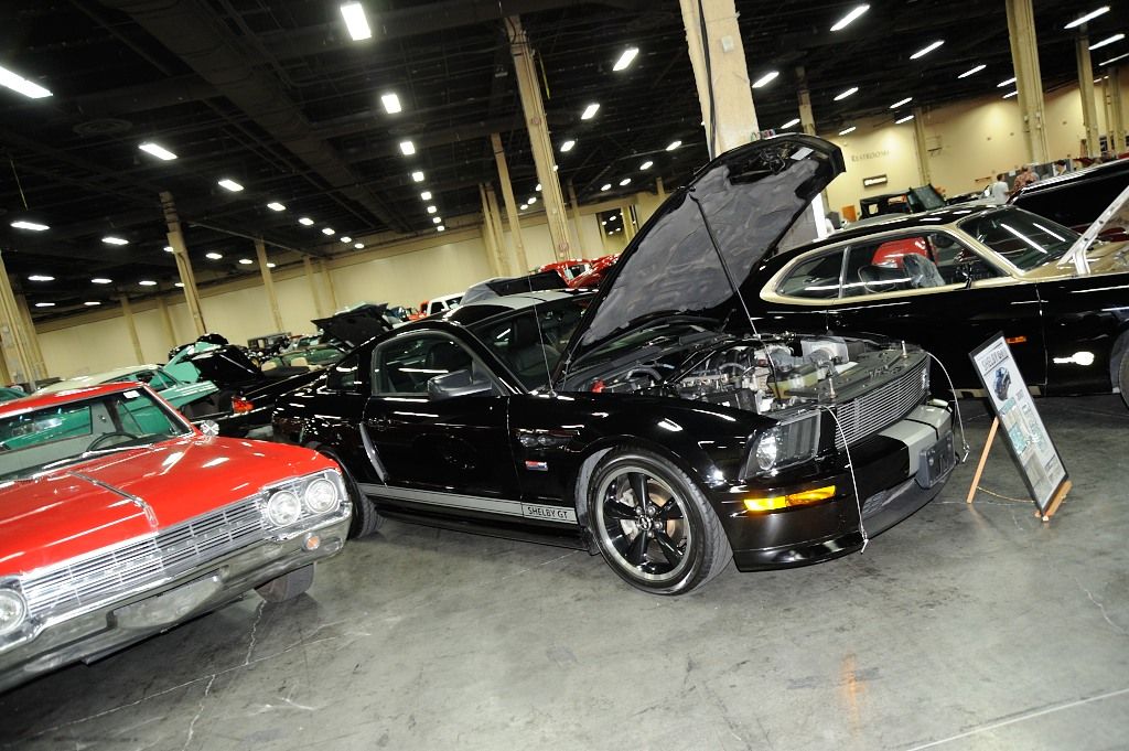 DSC_4977_zpsb3inyjrg.jpg