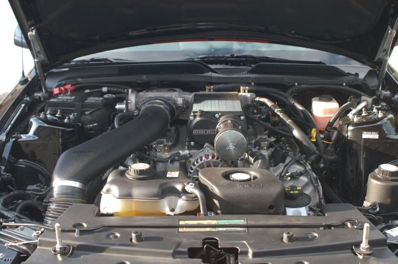 cDSC_0691.jpg