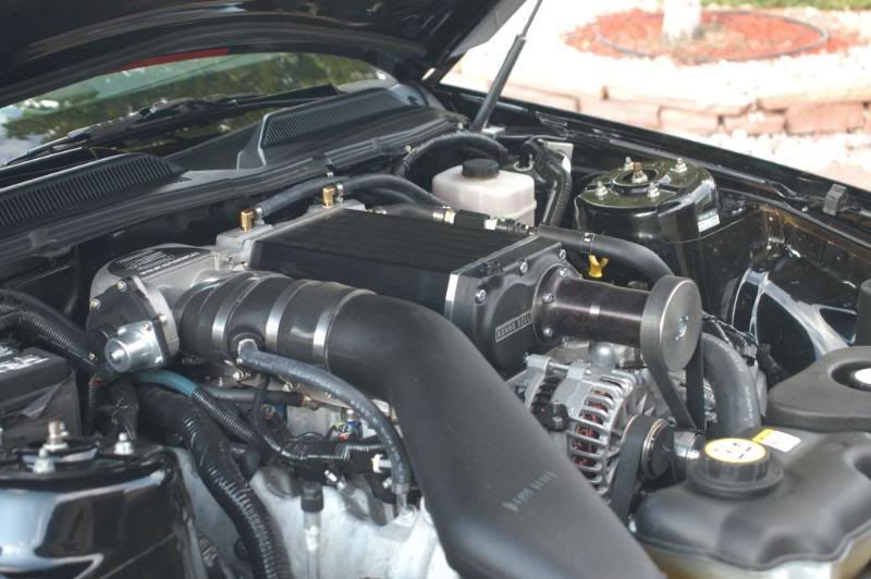 cDSC_0695.jpg