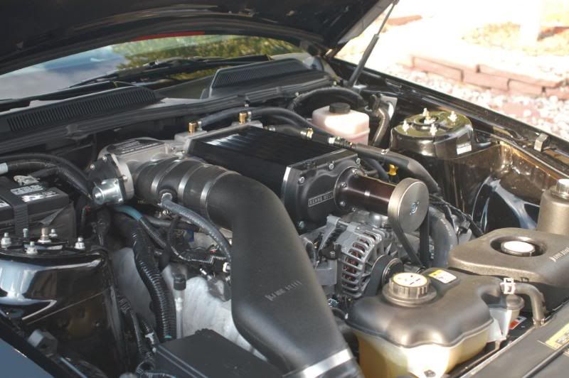 cDSC_0698.jpg