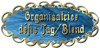 Organisatrice défi Tag/Blend Organisatrice défi Tag/Blend
