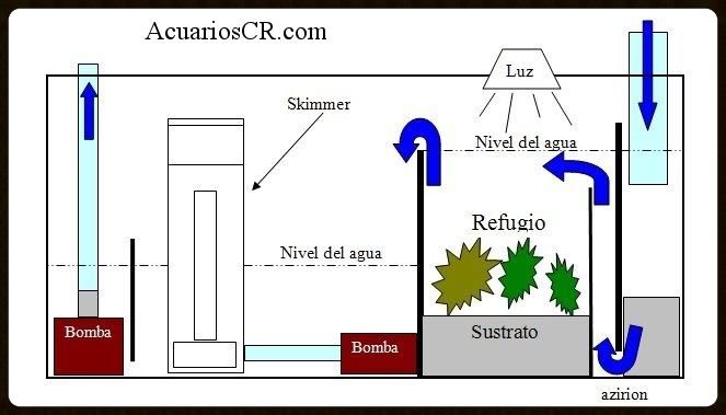 pecera