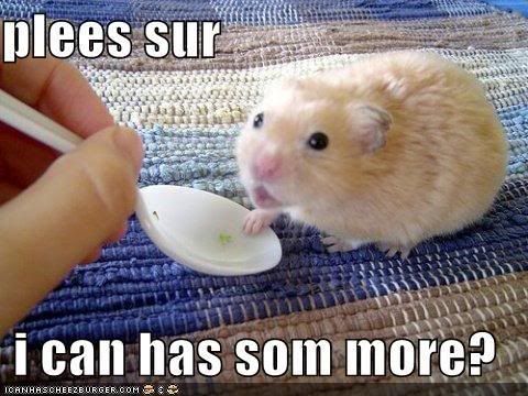 pleasesirmayihavesomemorehamster.jpg