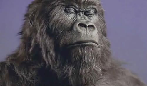 Cadbury's Gorilla Advert (5th Sept 2008) [PDTV(XviD)]bobuk preview 0