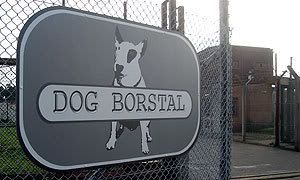 Dog Borstal s04e04 (30th Sept 2008) [PDTV (DivX)] preview 0