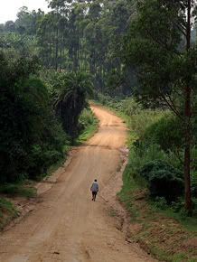 Uganda Road