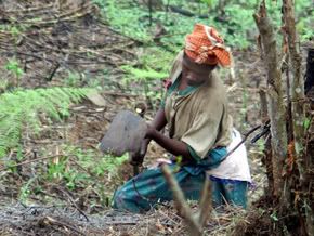 Uganda Woman Farming