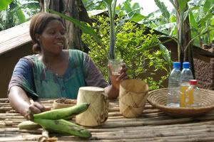 Selling Banana Wine