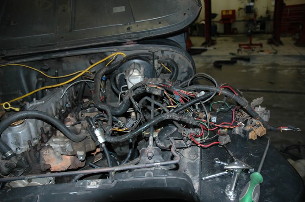 Jeep Yj Fuel Cell InstallDownload Free Software Programs Online