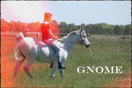 http://i244.photobucket.com/albums/gg24/lbmika/GnomeSummer122_zpsdfe44966.jpg