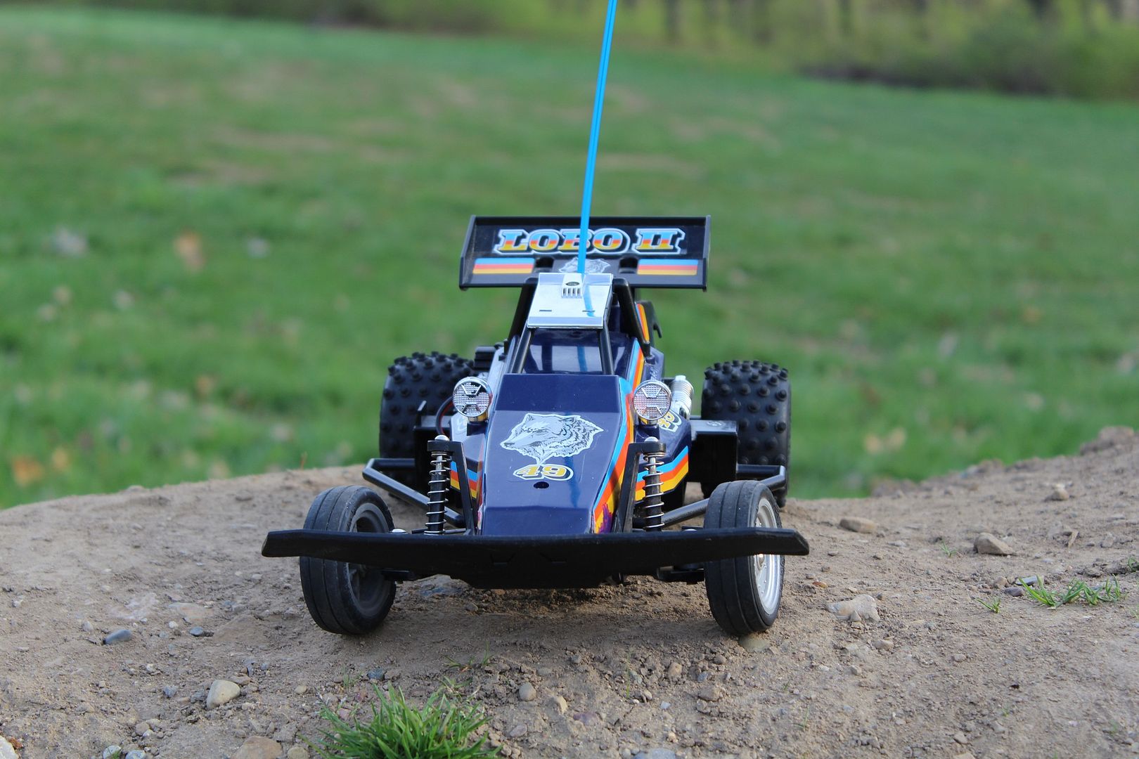 lobo rc buggy