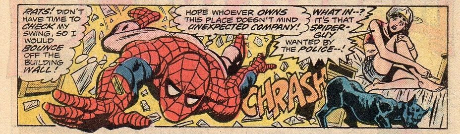 Spidermanbareassedpanel_zps5c914a2a.jpg