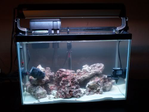 fts6.jpg