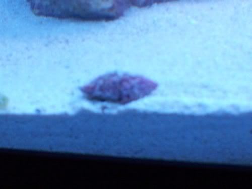 snail2.jpg