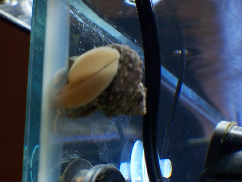 100_1228.jpg