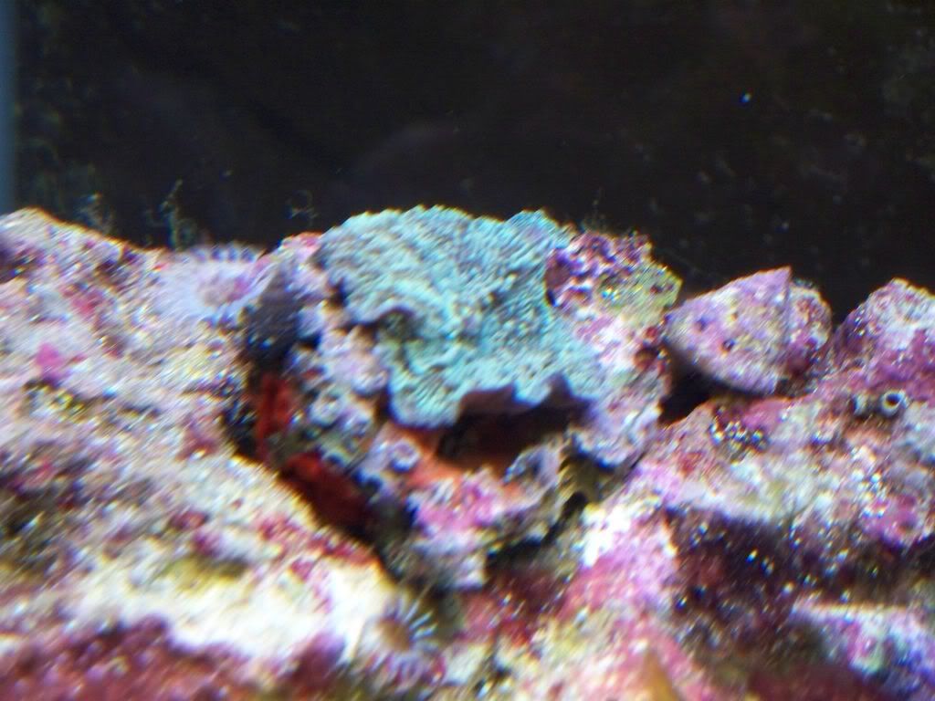 100_1232.jpg